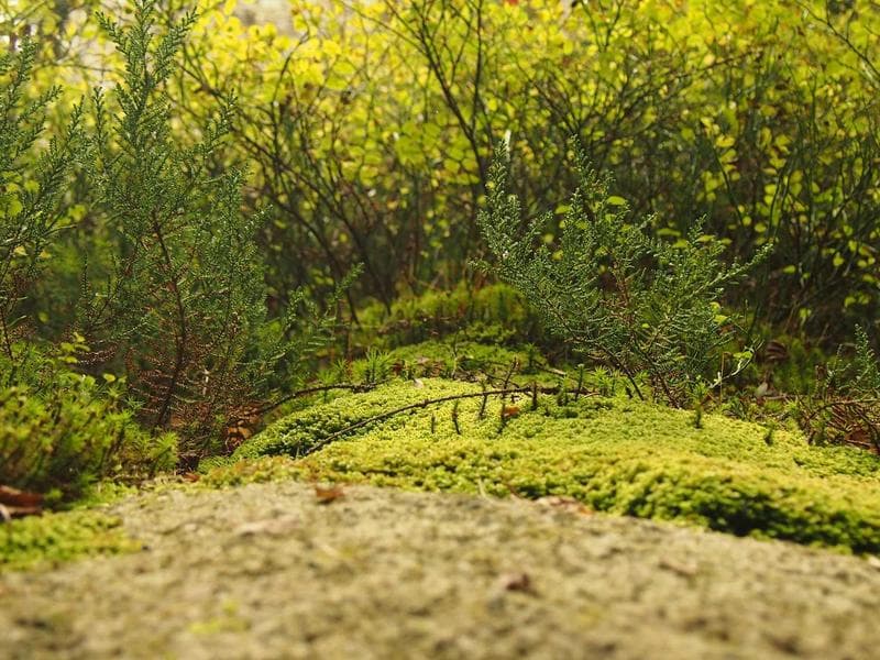 Voyage sur mesure organisé par Travel by Thais